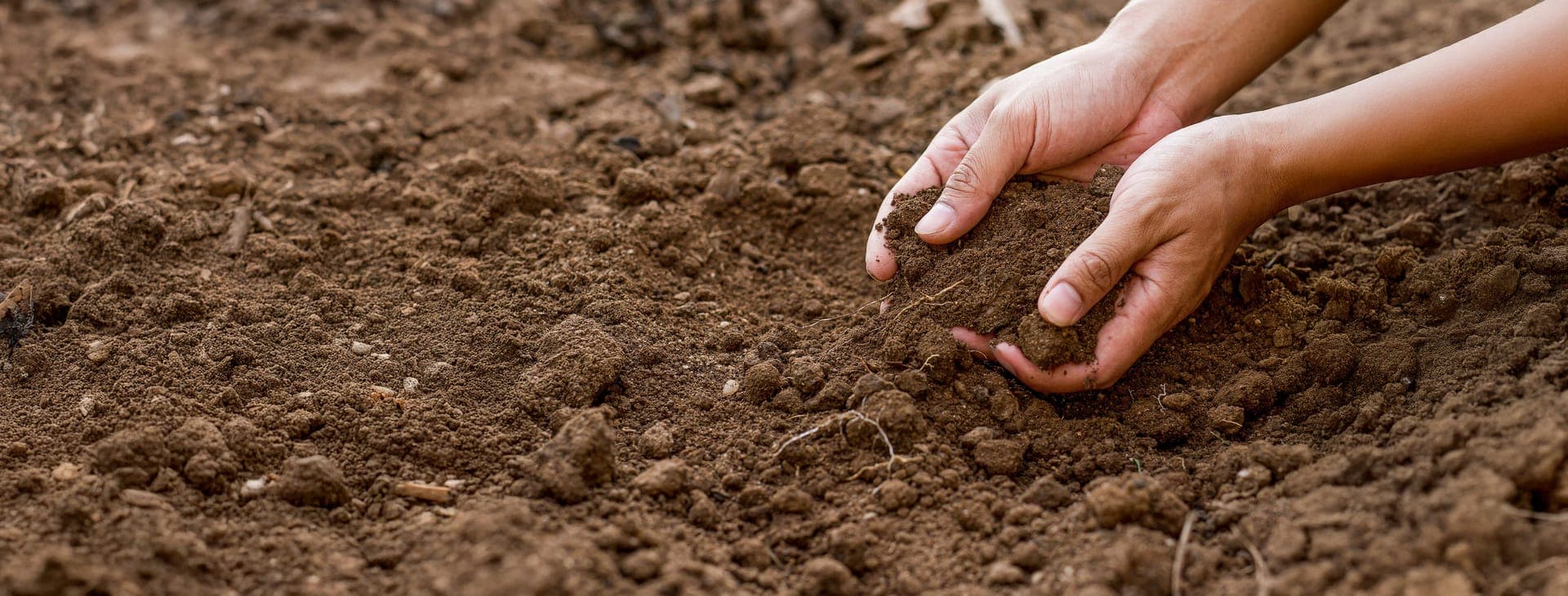 Modern Agriculture