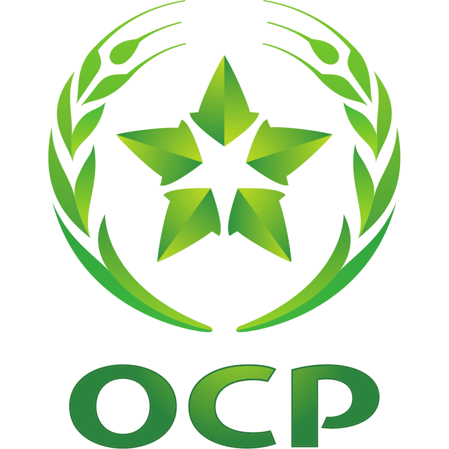 OCP Group